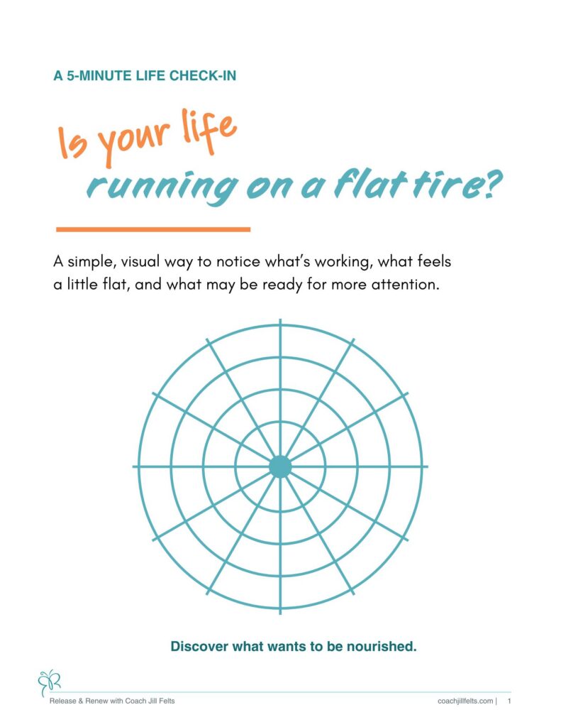 5-Minute Life Check-In Wheel of Life guide by Coach Jill Felts